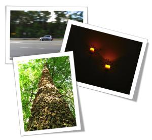 Camera Operation Collage