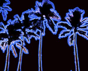 ETE261 - Band Literisms - Neon Trees